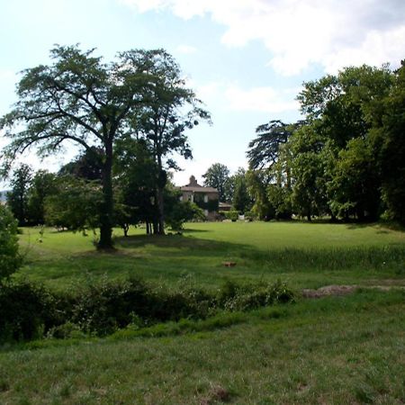 Chateau De Colombier Saint-Julien  Eksteriør billede